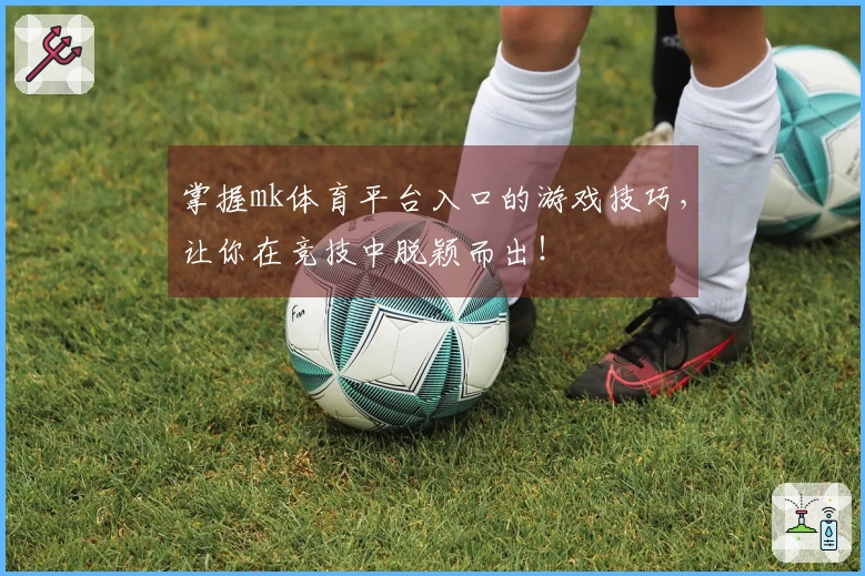 掌握mk体育平台入口的游戏技巧，让你在竞技中脱颖而出！