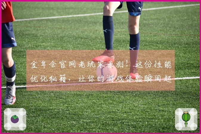 金年会官网老玩家亲测！这份性能优化秘籍，让你的游戏体验瞬间起飞！