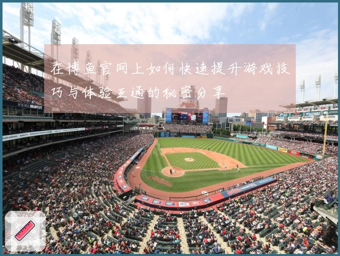 在博鱼官网上如何快速提升游戏技巧与体验互通的秘密分享